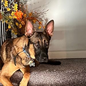 Meet your Posher, Danny